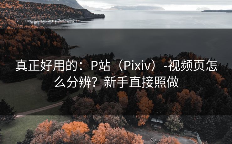 真正好用的：P站（Pixiv）-视频页怎么分辨？新手直接照做