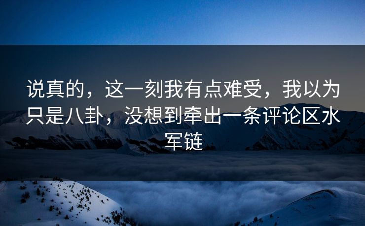 说真的，这一刻我有点难受，我以为只是八卦，没想到牵出一条评论区水军链