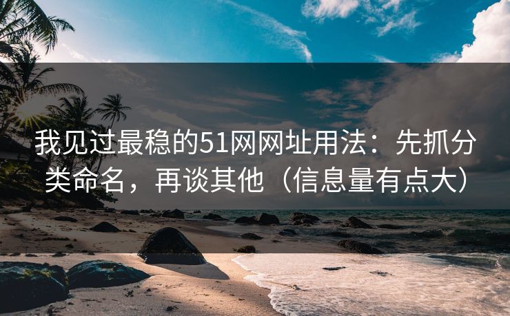我见过最稳的51网网址用法：先抓分类命名，再谈其他（信息量有点大）
